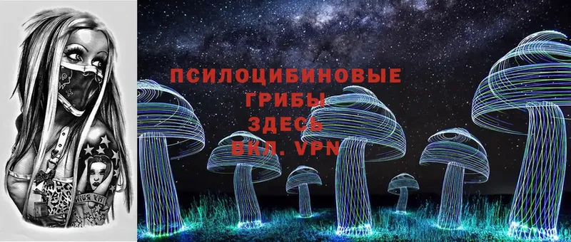 Псилоцибиновые грибы Psilocybe  Бирск 